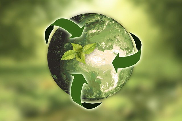 OCTO, concienciación de prácticas sostenibles para el Medio Ambiente